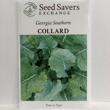 Georgia Southern Collard, 1880 heirloom
